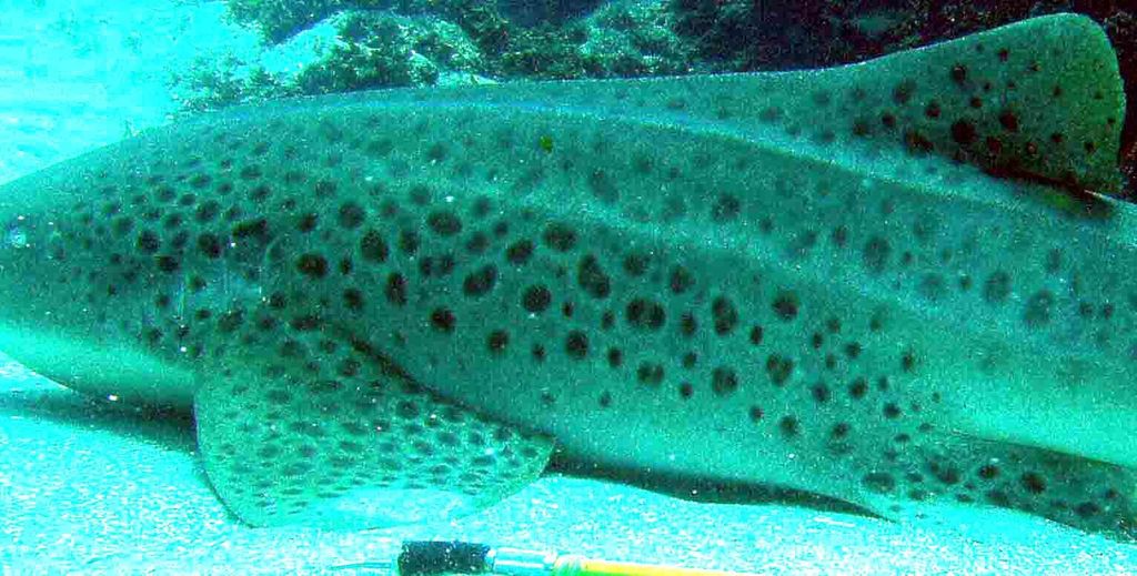 0e09d6f9-d0fd-4312-8231-42573e5c252c