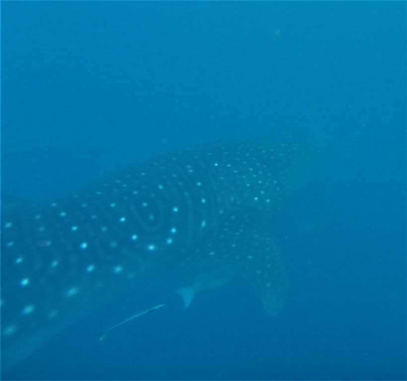 dcf65be3-80b8-456a-b0d6-9942b064dfd8