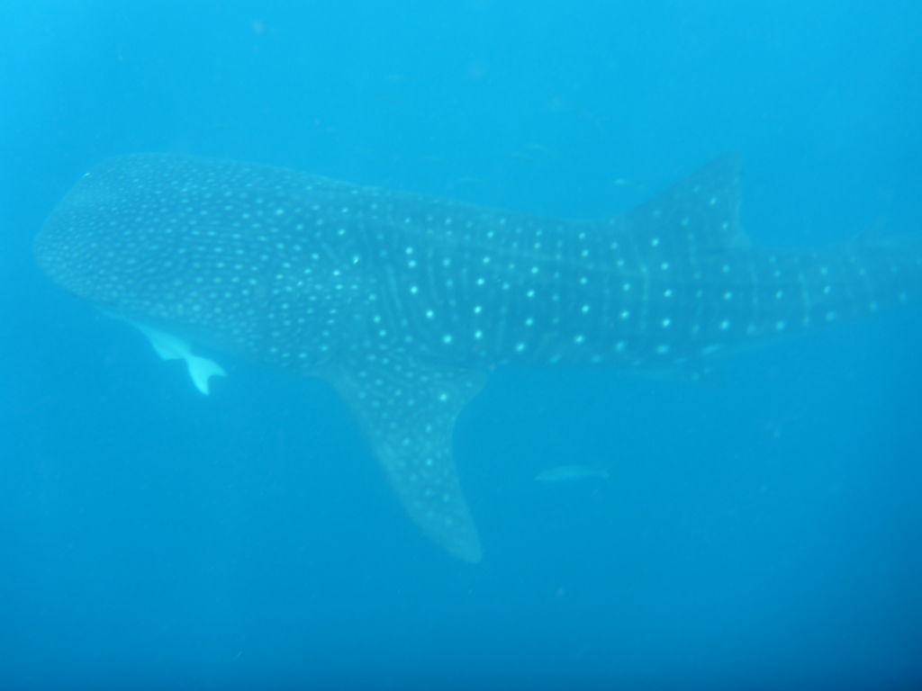 dcf65be3-80b8-456a-b0d6-9942b064dfd8