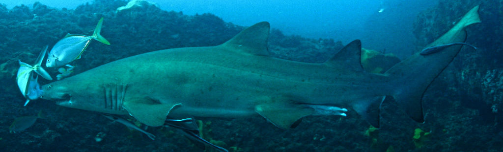 ba29362f-682d-41d0-bf89-715f5252bf56