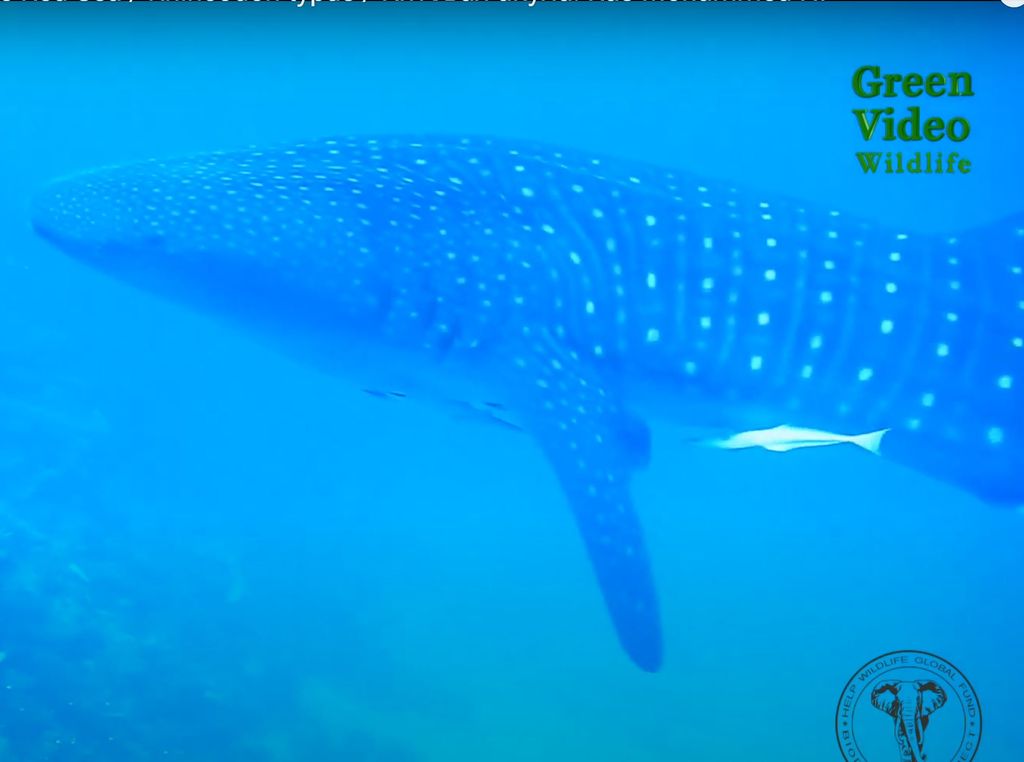 0dc022ec-cd0f-4acd-91d7-e79a0a7a5be9