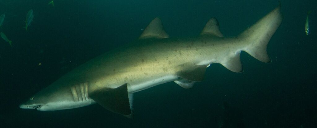 ef920284-7227-4adc-a4f5-3bffd7b2d736