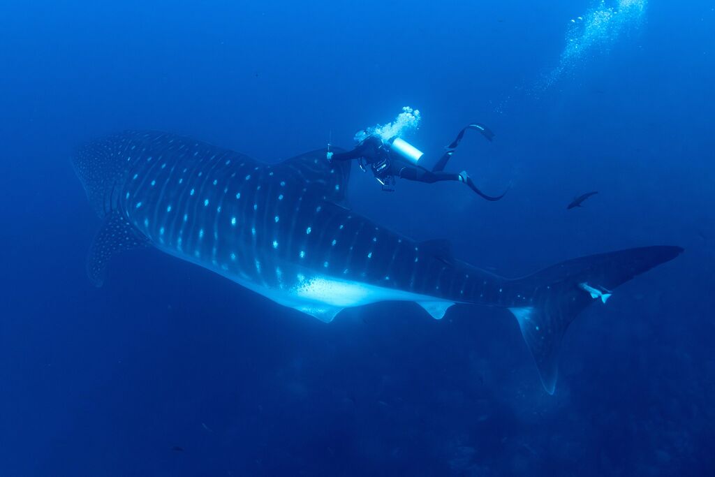 50cbd4b7-ac15-423c-9ae9-3c4f55567e39