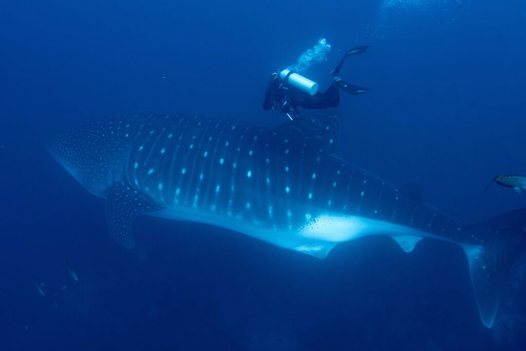 50cbd4b7-ac15-423c-9ae9-3c4f55567e39