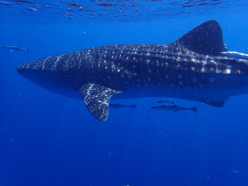 7270f45f-505b-4d2d-b4d4-6d0f6627c15c