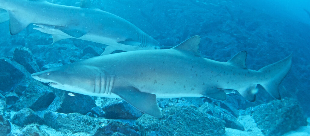 f214f6b5-88c6-4d88-8168-c9c9b857a6c4