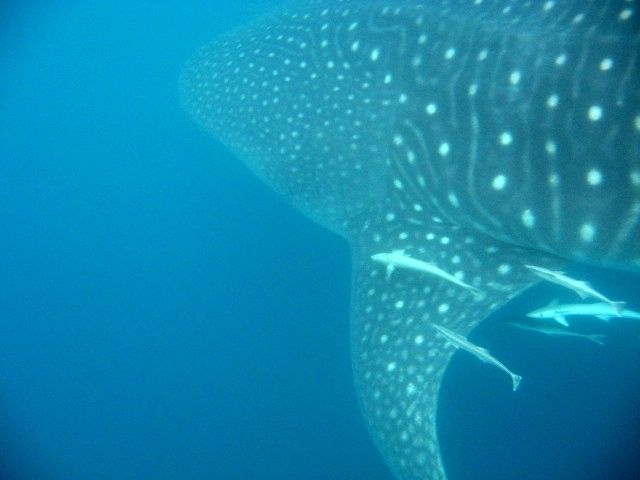 3b52337d-26e1-4d82-9b6d-21e5eb33c9ad