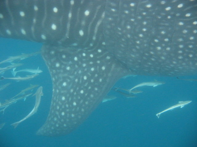 3b52337d-26e1-4d82-9b6d-21e5eb33c9ad