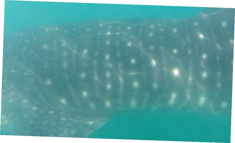 7cfcb547-29b3-4000-91b1-ff0f7b3b9e7a