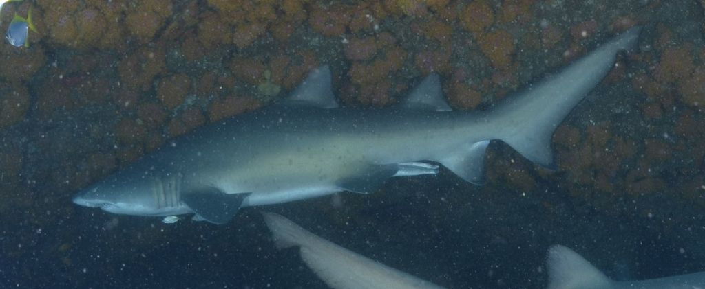 361656bd-69bf-44c5-bd4d-2a5a57c5529c