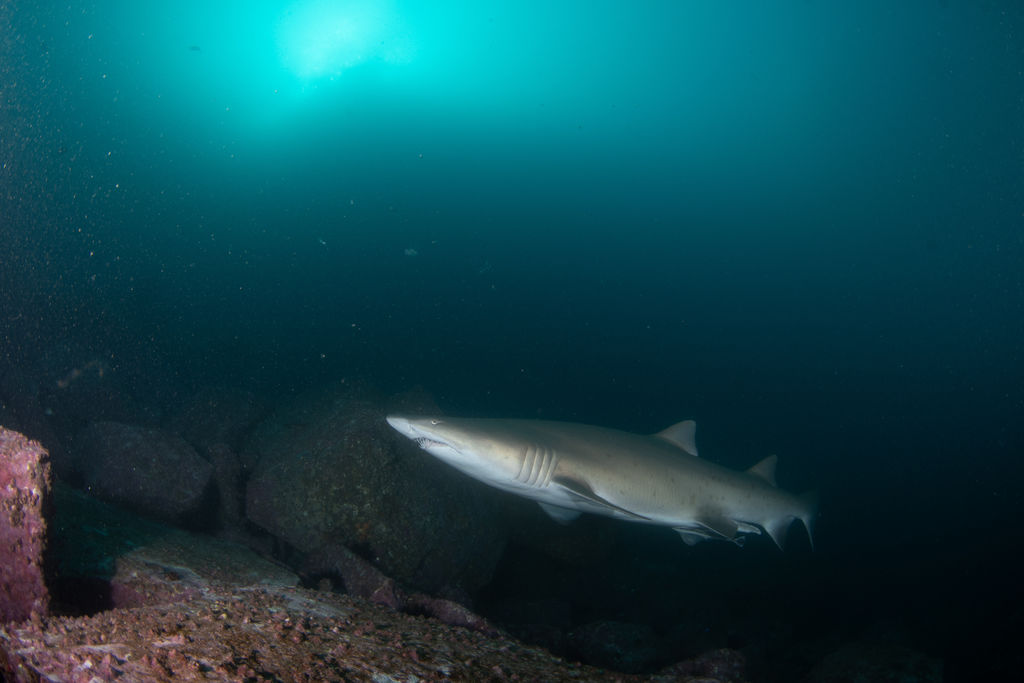 4808ccba-5029-4fdc-9e12-77b33c6268d9