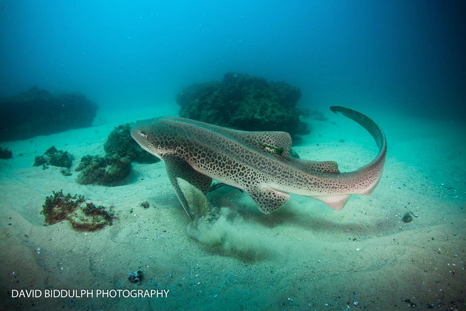 ac5b2311-e44e-4380-bebb-a8e4faed2d1f