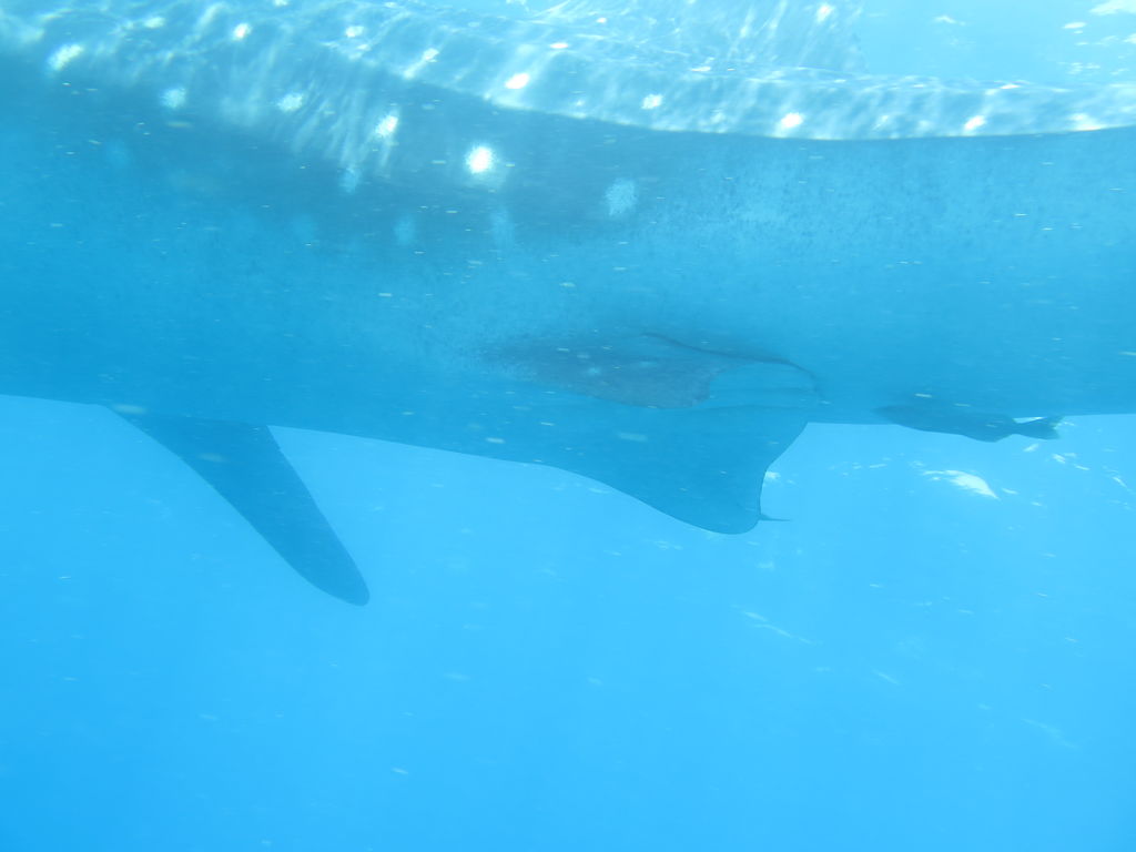 fb21c38e-a3c6-4292-88a2-8bd3a7dae0a7