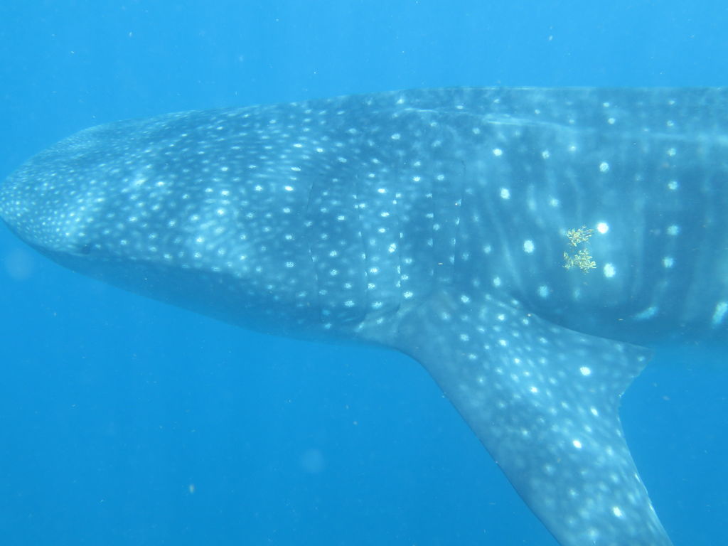 fb21c38e-a3c6-4292-88a2-8bd3a7dae0a7