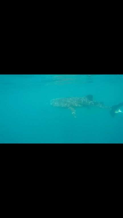 b3278332-9a98-4814-a003-7a8486fb01a4