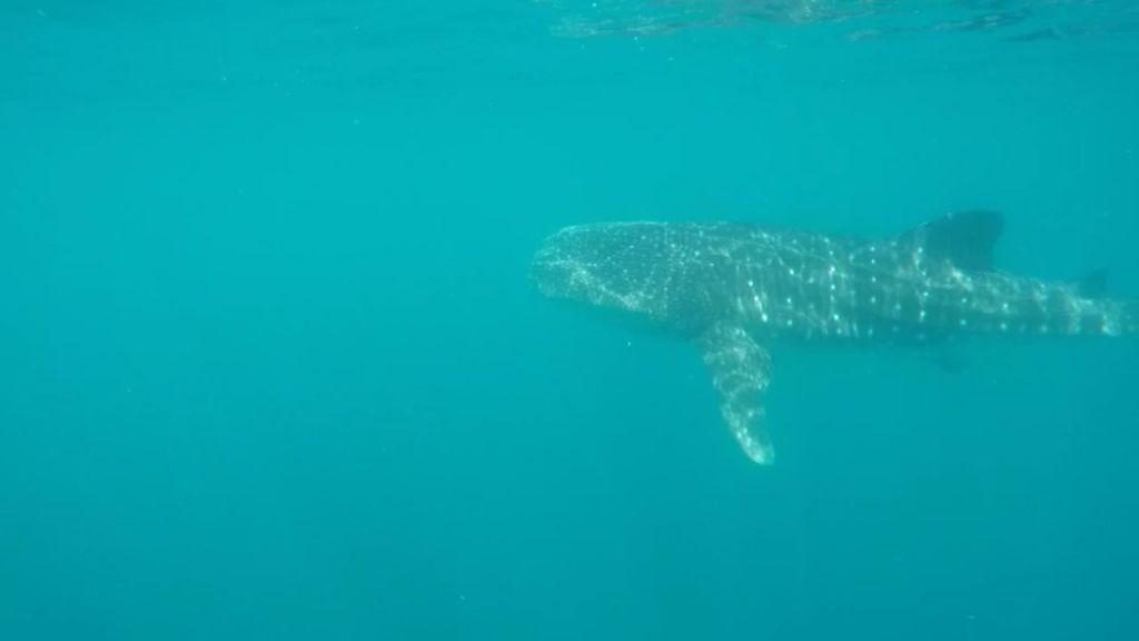 b3278332-9a98-4814-a003-7a8486fb01a4