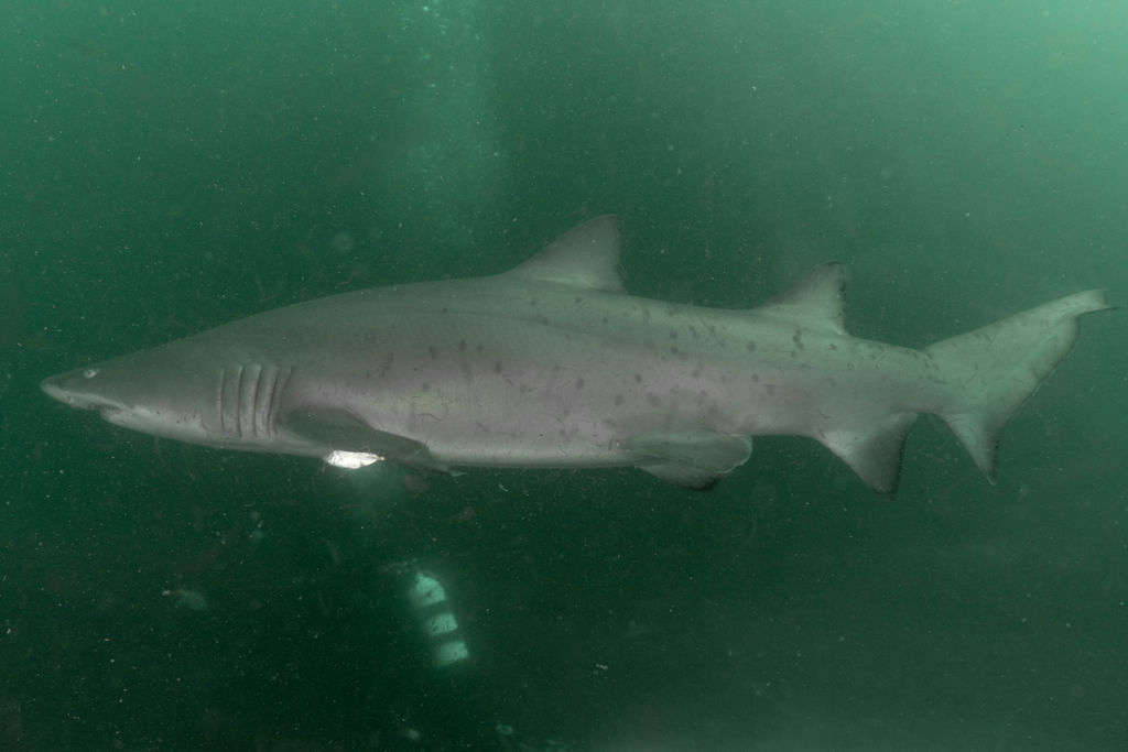 9b8c2b50-4359-4a8f-aa05-084c9928eb25