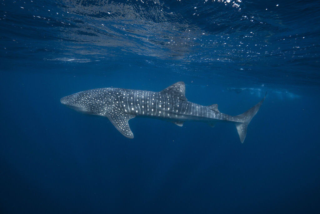 db65f77c-778e-4e12-a1cb-6f74646f789e