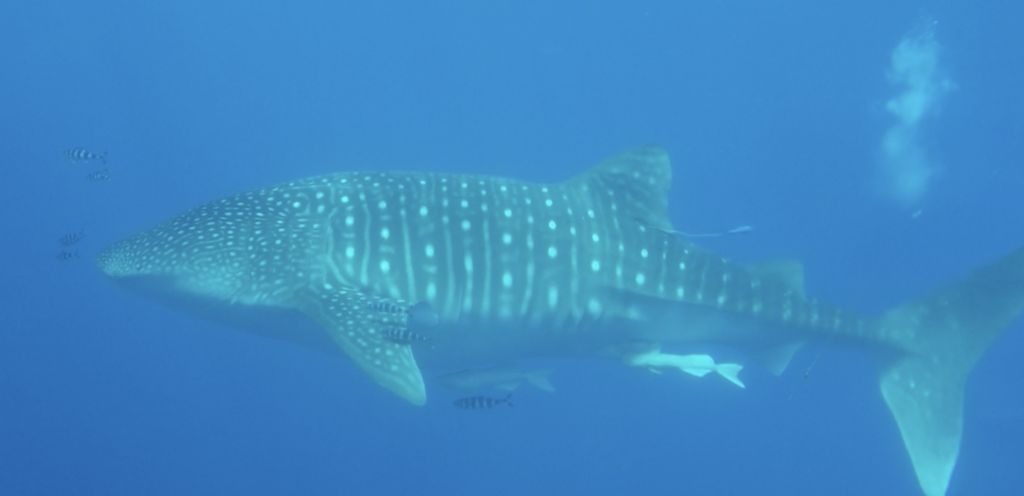 91231192-12f0-4b0f-b547-62dd4206fafe