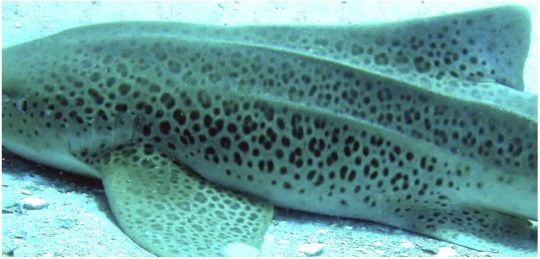 1f2f8fac-102d-4b31-bb8e-24b21987e55d