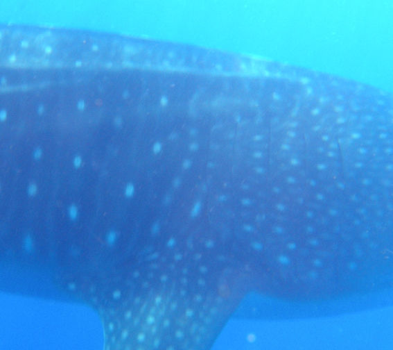 b01b1300-9a34-433c-a82d-cabfa72750f4