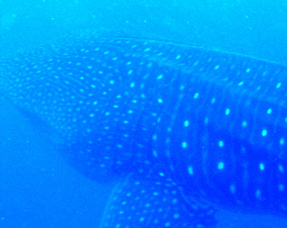 b01b1300-9a34-433c-a82d-cabfa72750f4