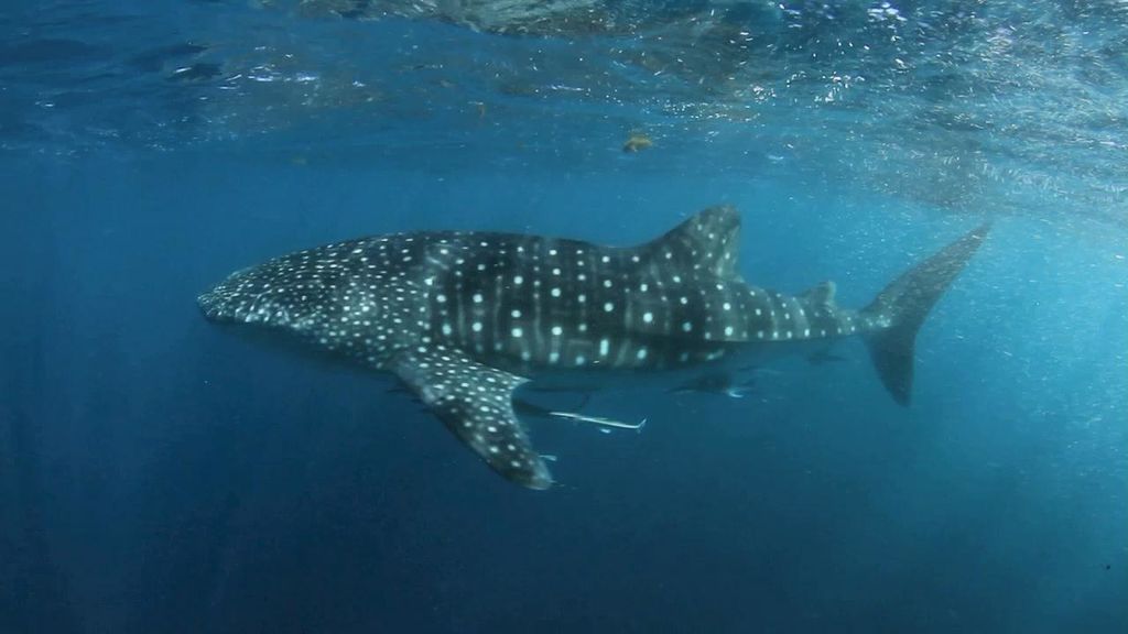 26d68302-a9a6-4683-9a2f-095e9f09af7e