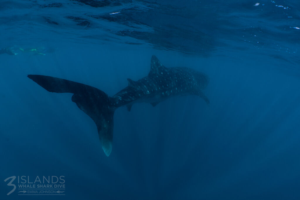 29bceb0b-f5d4-4078-be17-0724535cf84f