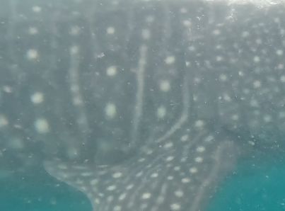 38da77fe-1ec2-49b0-b65b-7f8b1dfdc9ef