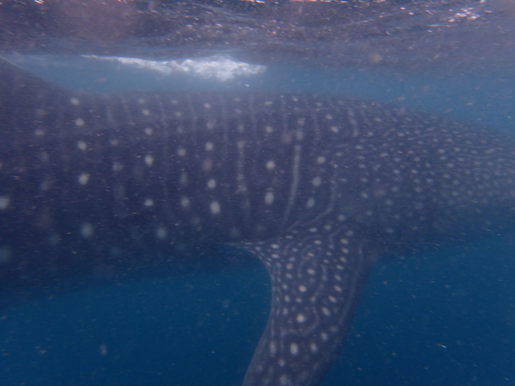 38da77fe-1ec2-49b0-b65b-7f8b1dfdc9ef