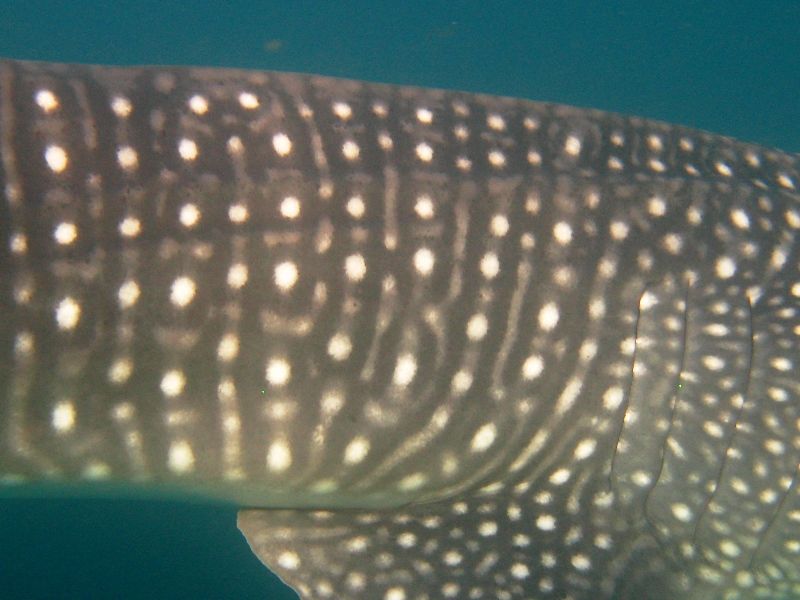 e105953b-8781-42e1-82e9-0f678539785b