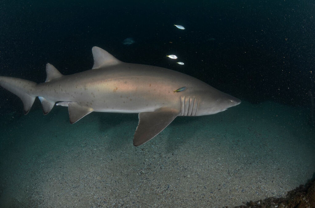 b0d7babf-ba59-4dd3-a672-0861787e0e0d