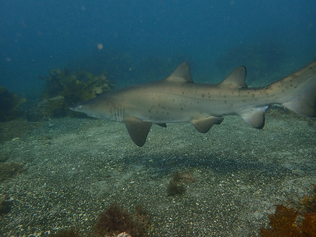 d9904ba3-dd05-4550-b6a8-8254650242d3