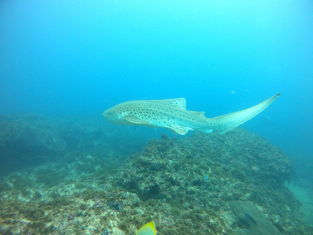 0dc6a00c-7176-4625-ba20-164aab07ccf6