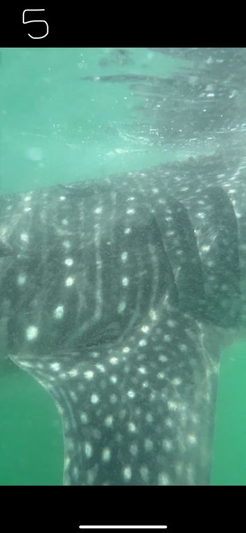 e304d69d-feb8-4453-91fc-4499d3e2c771