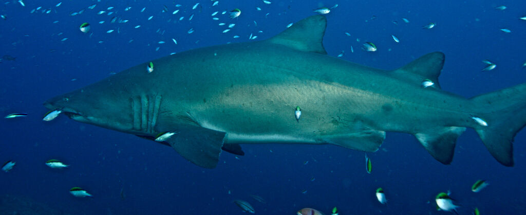 f973e1bf-73a8-4da3-ba95-e249b0ad7ff6