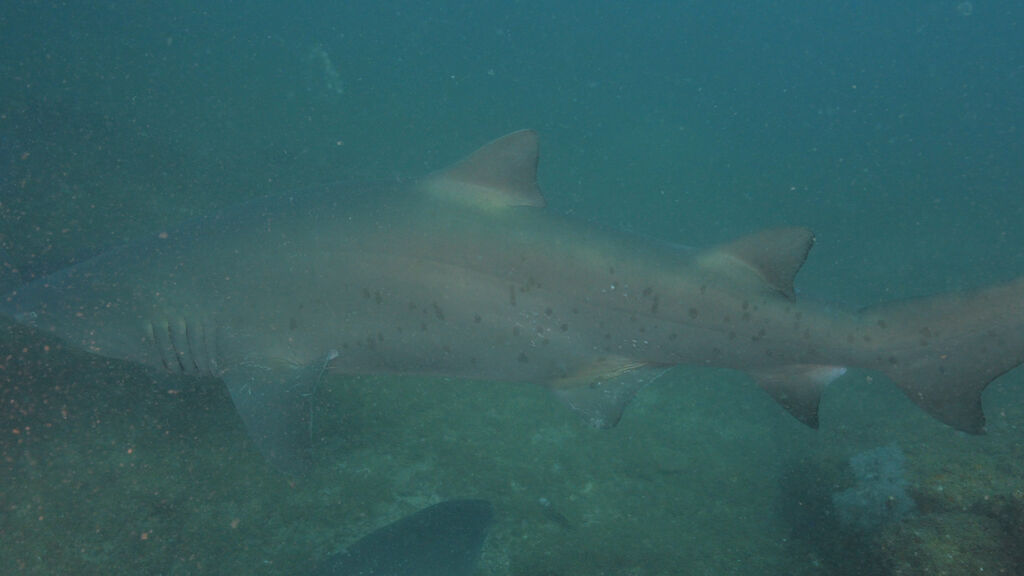 6390b336-978f-43f0-bc16-e511d9b5083a