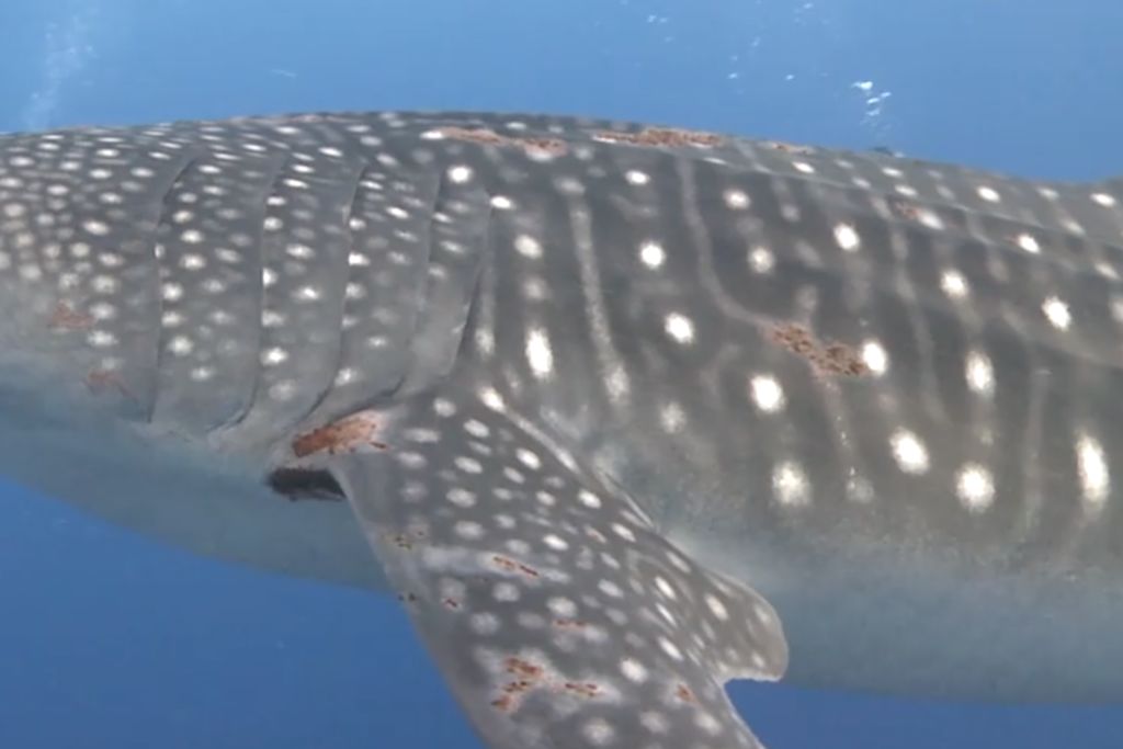 965eed49-77bc-4299-8871-7f76e7591fba