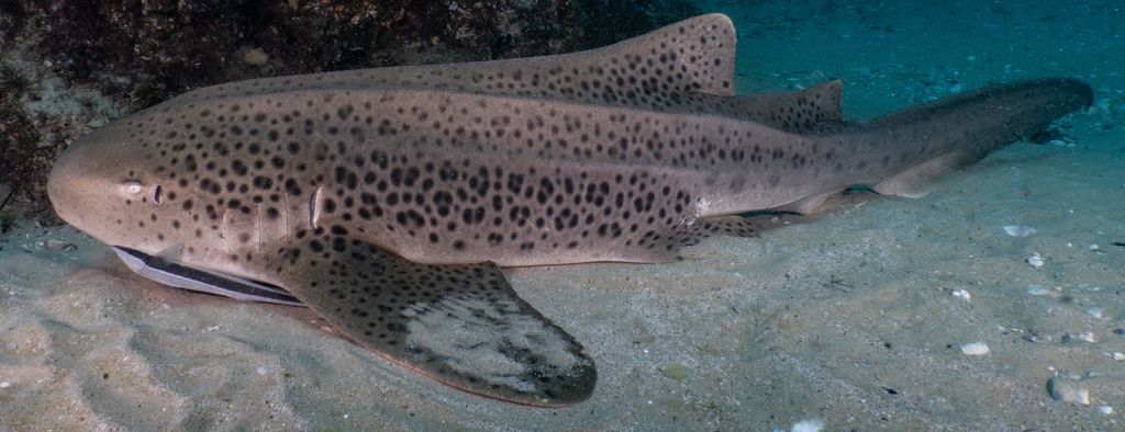 bf59740e-5541-45d5-8317-bd8bc671eead