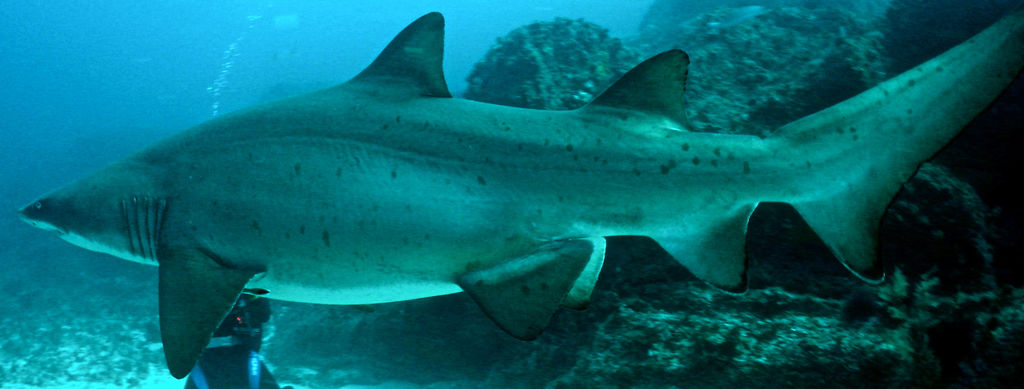 f5fb84c8-96d6-44ae-a9ac-4d3e25985bd4