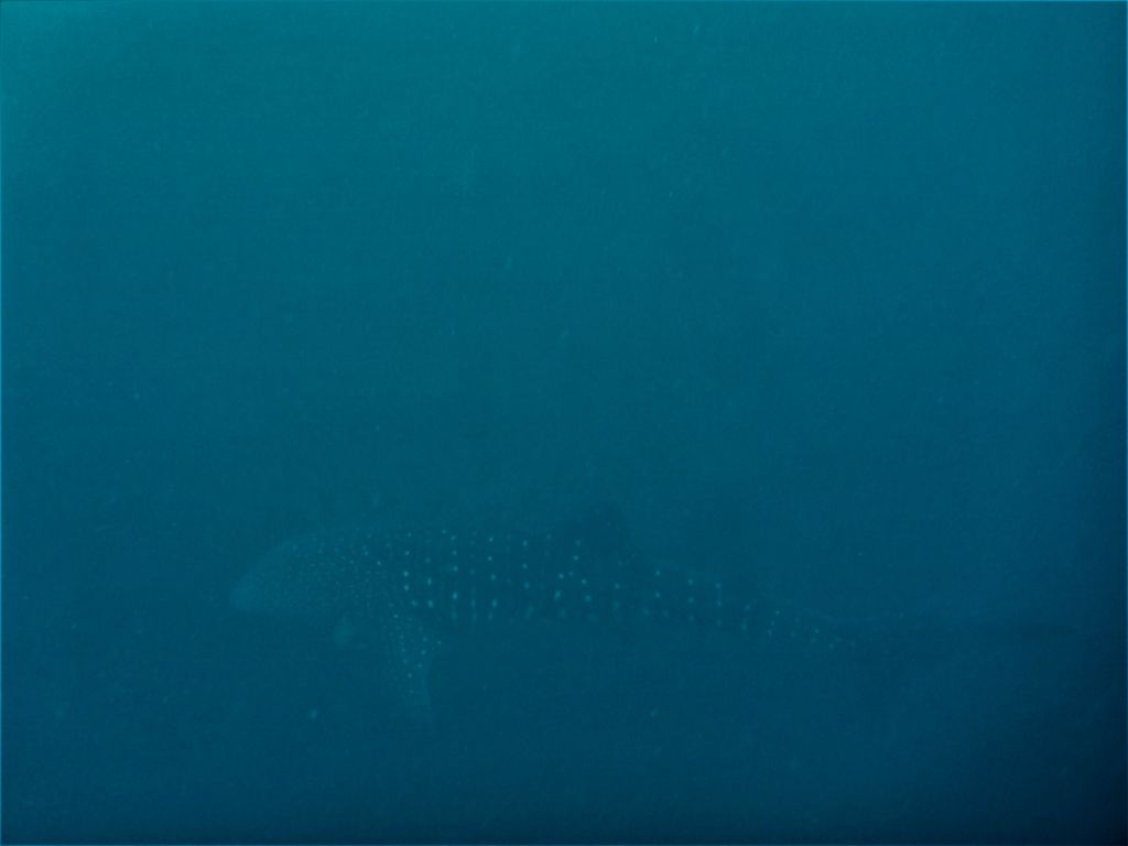 e8295ec2-5306-4e8d-b91c-f30d91eb4377