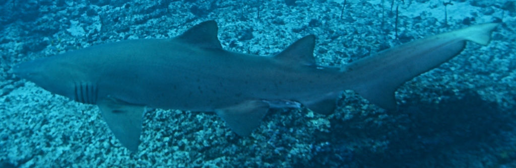 0b941390-106b-40f1-a22c-845f380fe5eb