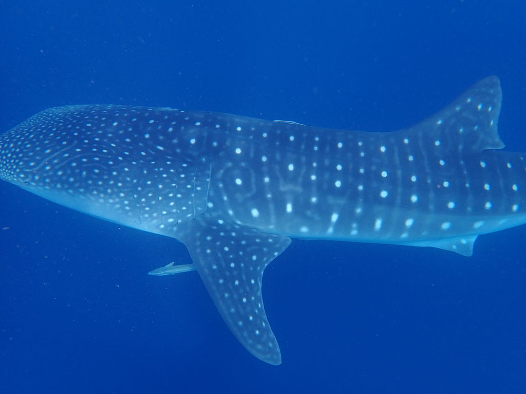 7a9a95f6-85fa-469b-8a41-e9ce733cc6bd