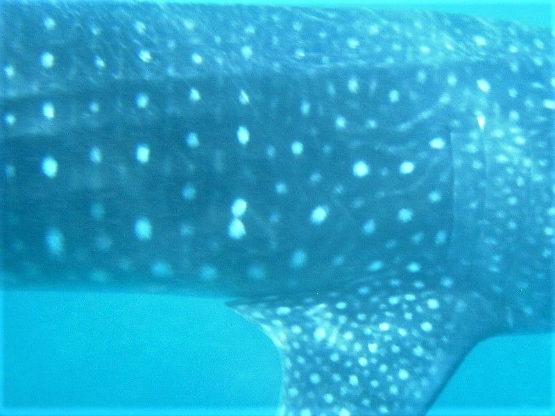 b96cec61-4149-4122-95e3-935b6ab99f28