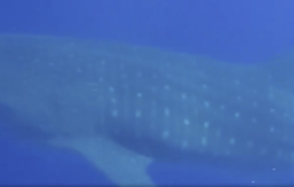 99d18d3d-7dd3-4b32-bdde-f488b9a83b9e