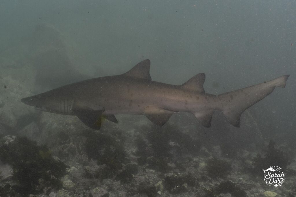 b747b3ea-ee8d-478f-b0d4-effeebab0f85