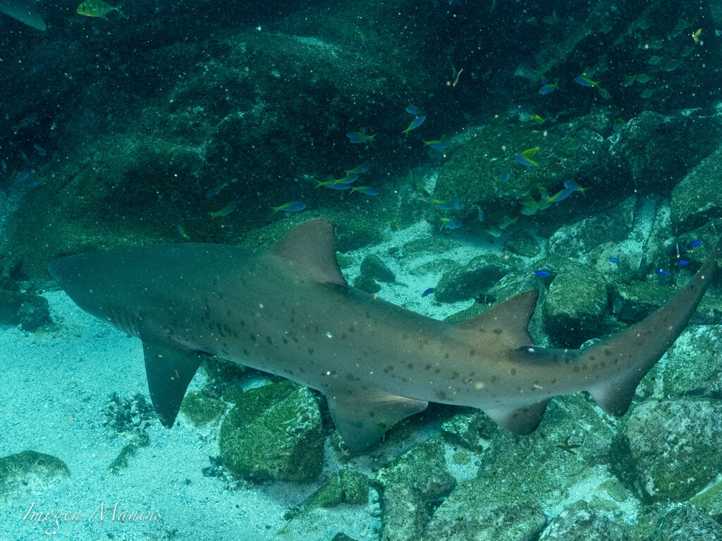 04964b4c-dfcc-4efd-9b2d-11827bf37536