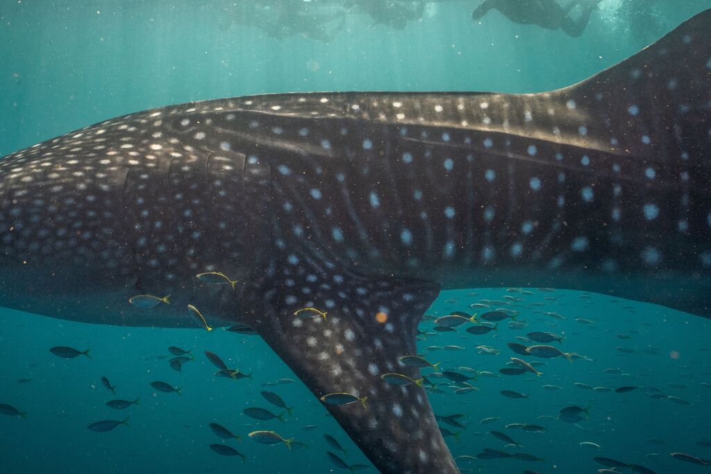 af7acf6e-e25e-421d-80b4-0fee82502a39