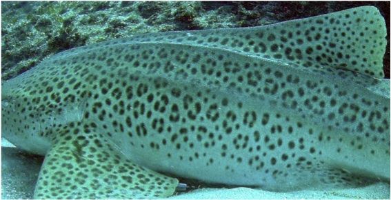 6c6ce349-9777-4c57-b1f0-4f8a512a711e