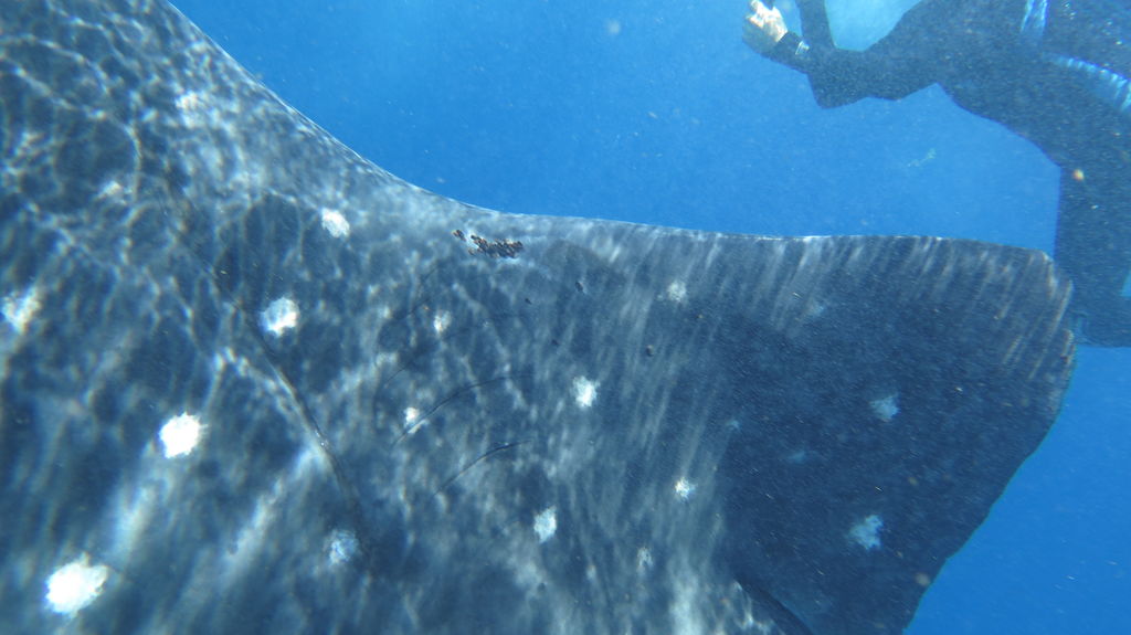 29b8041e-a765-4b6c-9af9-8a2c3193ce4c